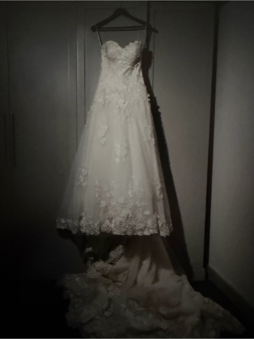 Pronovias Strapless Lace Appliqué Wedding Gown in White